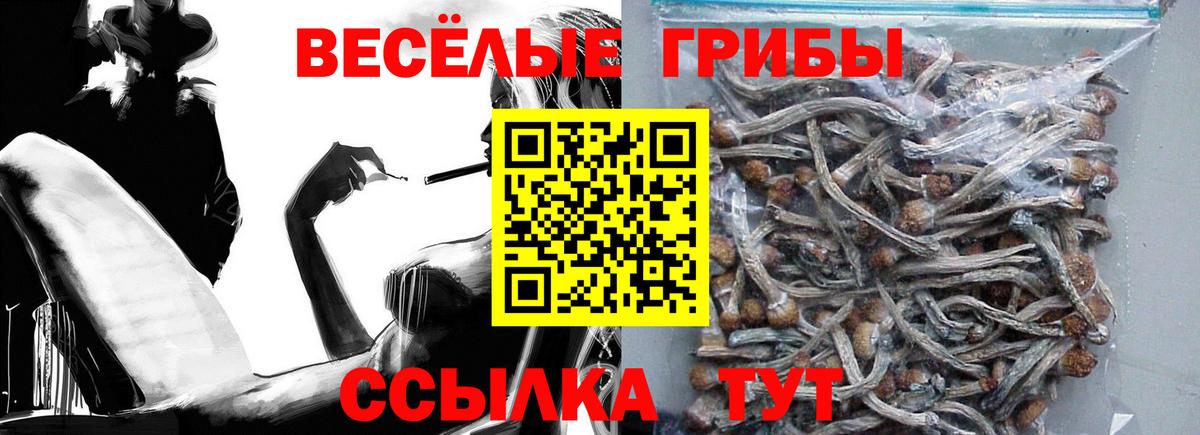 Псилоцибиновые грибы MAGIC MUSHROOMS  Вход с VPN  Приморско-Ахтарск 